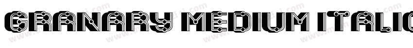 Granary Medium Italic字体转换